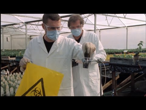 THE END | HD Post Apocalyptic 16mm Short Film (Kodak 50D and 500T)