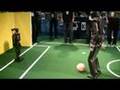 Best-of Humanoid Soccer Winner NimbRo at RoboCup 2007