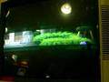 videos de MBAA Casual 1