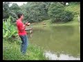 bebudak bru belajar memang susah nk kasi naik ikan kat sini...