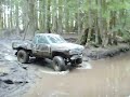 bdi swamp trail at elbe hills