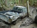 bdi swamp trail at elbe hills
