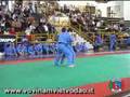 videos de Vovinam Forbici Rosà 2008