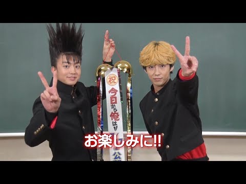 動画