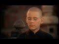 david carradine grasshopper jokes for kids david carradine grasshopper jokes for kids