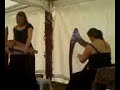 Kelten zonder Grenzen Harp - Draailier / Hurdy Gurdy