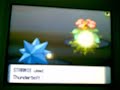 Pokemon Battle Allan Vs Vemily