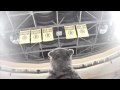 Bruins Hockey Rules - Opening Night