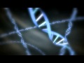 mcgovern Institute video trailer