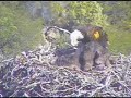 It's Mom! IT'S MOM! - Whatcha Bring Us?