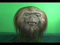 WILLETTFX THE ANIMATRONIC PROJECT NOW Available!!! DEMO WILLETTFX THE ANIMATRONIC PROJECT NOW Available!!! DEMO