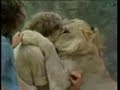 Lion Embraces Friends