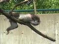 Zoo Part 3