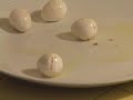 how to cook lizard eggs