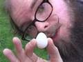 How To Cook Lizard Eggs