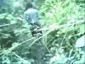 hiking sa mt.makiling part 2