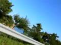 Jindo Driving 3