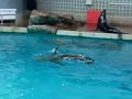 Mystic Aquarium