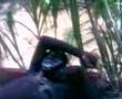 Assistir ao v�deo