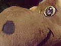 VP Debate: Moose and Bear pontificate