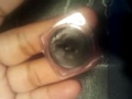 Click here to watch this video Haul: Almatweety/Ebay/Meijers