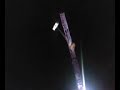 saut a l'elastique saut a l'elastique
