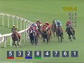 2008最受公眾歡迎馬匹﹐「包裝大師」支持者﹐請投下重要一票即投! special.hkjc.com 片段為: 花旗集團冠軍暨遮打盃- 2400米- 25/05/2008 「包裝大師」: 演出十分穩定，今季八戰俱獲獎金並且不斷進步。季初在第二班賽事連捷，次仗更創下沙田千八米場地新紀錄。其後進軍本地分級賽，去年11月角逐國泰航空香港盃預賽（香港二級賽），不敵「爆冷」屈居亞軍，今年2月在花旗集團香港金盃（香港一級賽）在「爆冷」三個多馬位之後跑第四。4月首度出戰國際一級賽，競逐愛彼錶女皇盃獲得殿軍，在主隊馬匹中，名次僅居於「爆冷」之下，表現之佳令人驚喜，反映本身續有進步。一個月後果然在花旗集團冠軍暨遮打盃勇挫宿敵「爆冷」，取得首次本地一級賽勝利。