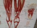 want vertical? get foot power #1 want vertical? get foot power #1
