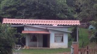 Diario de campo