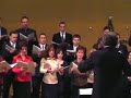 Cappella Transylvanica - Ce vedere minunata (A.Pop)
