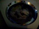 Bosch Trockner 10 KG Bosch Trockner 10 KG