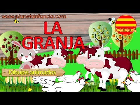 Imatge de previsualització de YouTube