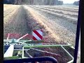Stroh Schwaden