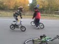 stegrar