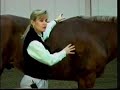 Horse Conformation: Structure, as seen on eXtension