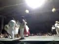concurso de huapango san joaquin 2007 campeon de campeones