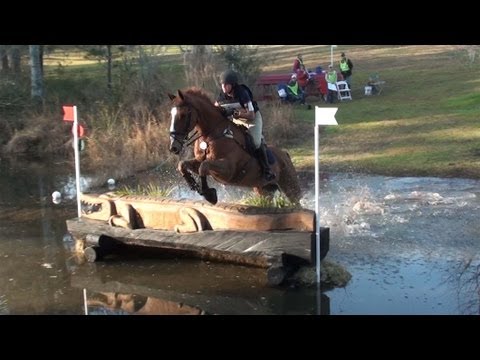 horses grand national