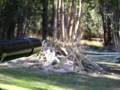 videos de Pmr shooting with paint at paintball jungle