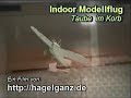 Indoor fliegen - Taube im Korb Indoor fliegen - Taube im Korb