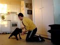 Nyt on hyvä alkaa jo kouluttaa poikaa... Nyt on hyvä alkaa jo kouluttaa poikaa...