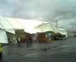 Carpa palencia volando