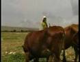 ABDULKADİR GEYLANİ H.Z(TANITIM)