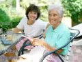 Alzheimer s Information.flv
