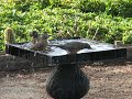 Birds at 65 Poppy Road