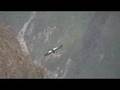 The Andean Condor