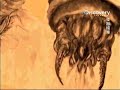 2009 12 07Discovery Channel   怪獸檔案：死亡蠕蟲 5DB34962 chunk 1