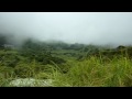 陽金公路 冷水坑