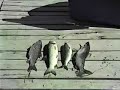 Fishing the Pipestone chain, Emo ont