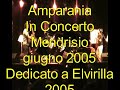 amparanoia in concerto mendrisio 2 luglio 2005