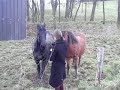 Frison Marius Cedric Frison Marius Cedric